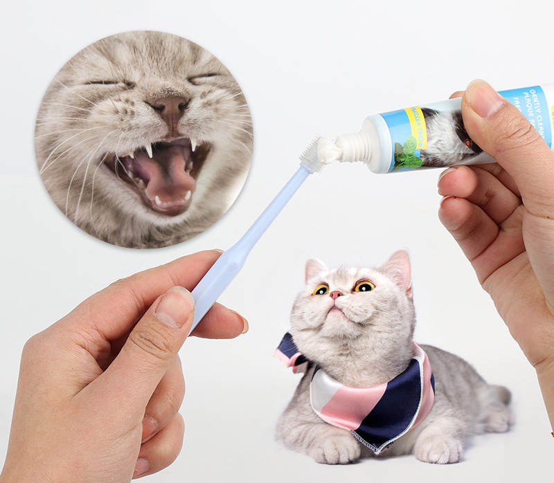 Cat Dog Rotary Oral Cleaning Toothbrush 