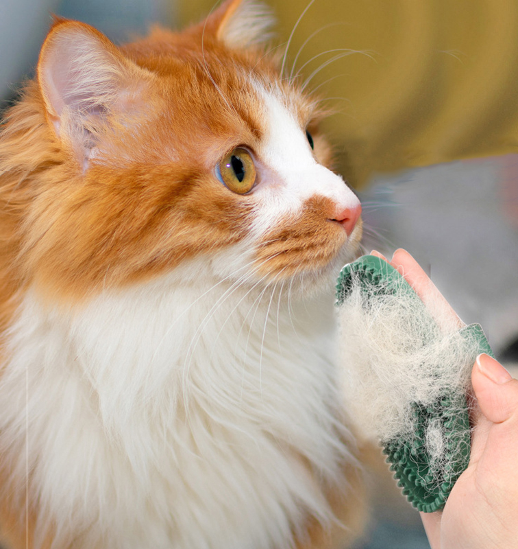 Cat Dog Oval Massage Bath Brush