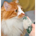 Cat Dog Oval Massage Bath Brush