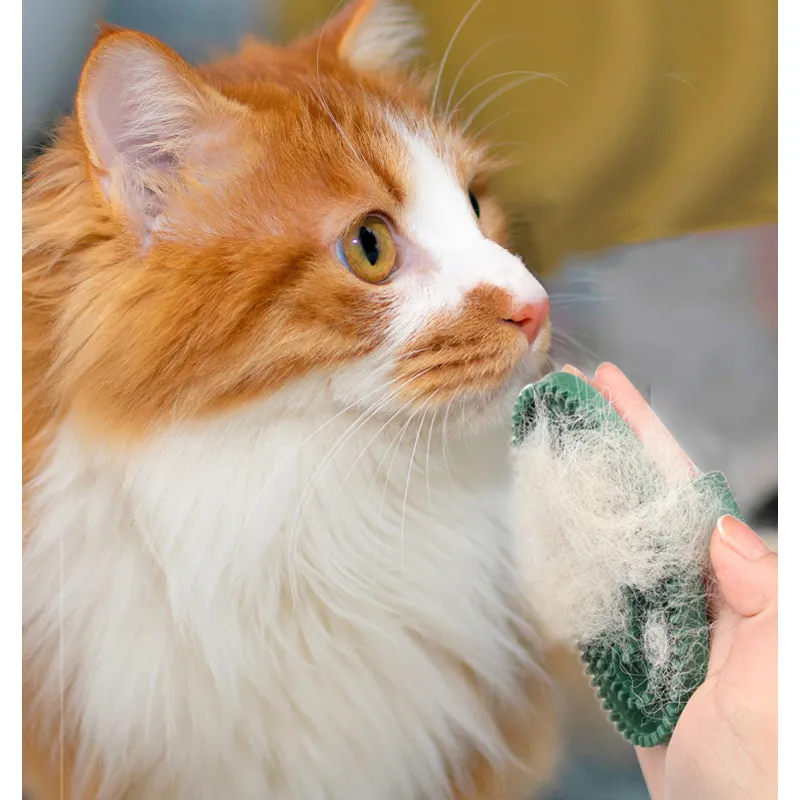 Cat Dog Oval Massage Bath Brush