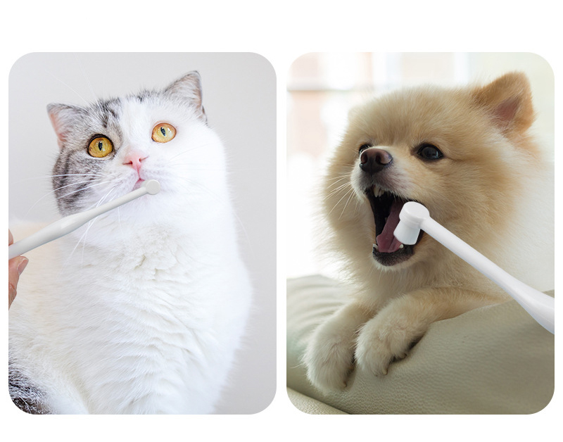Cat Dog Soft Micro Nano Toothbrush
