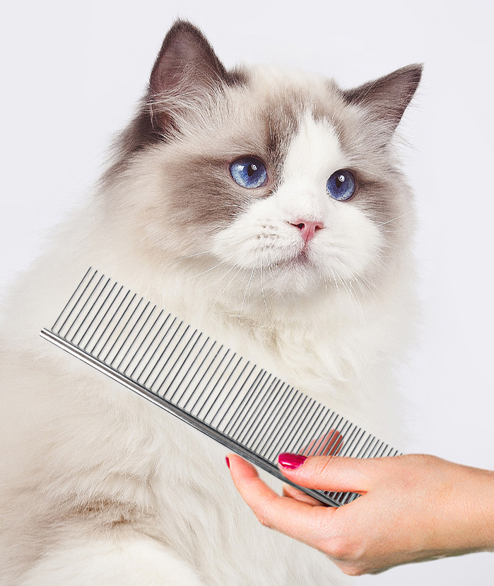 Cat Dog Stainless Double Tooth Long Row Comb