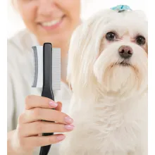 Cat Dog Sided Hair Removal Trimmer 02