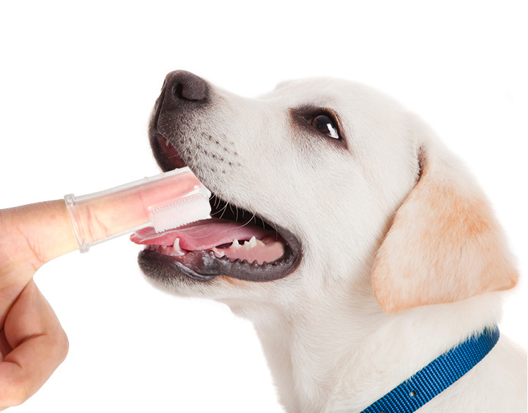 Cat Dog Finger Silicone Toothbrush