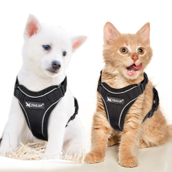 TAILUP Dog Cat Harness with Reliable Handle Mesh Nylon Soft Padded Adjustable Reflective Pet Vest