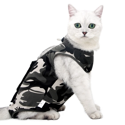 Cat Recovery Suit for Post-operative Care 01
