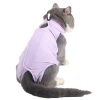 Cat Recovery Suit for Breathable Anti Licking