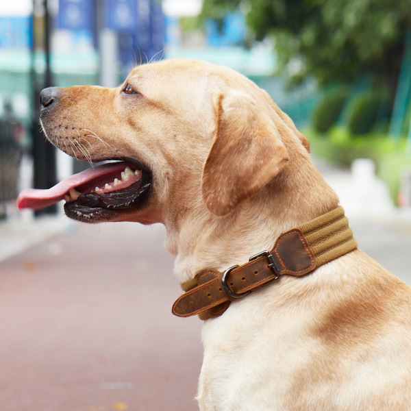 Dog Collar Leather Collar Adjustable Pet Collar Medium and Large Dog Tactical Collar