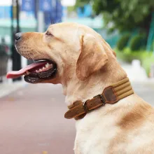 Adjustable Dog Tactical Collar03