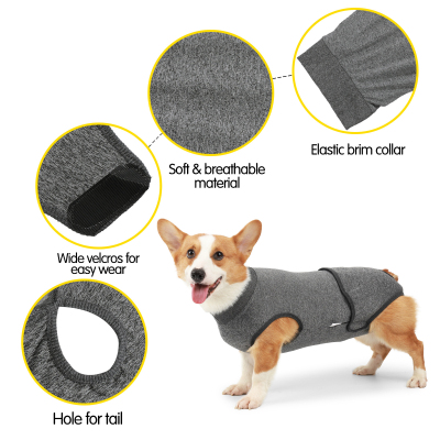 Dog Physiological Clothes with Harassment Prevention Diapers 02