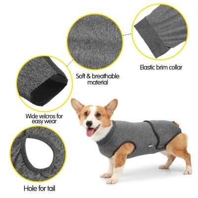 Dog Physiological Clothes with Harassment Prevention Diapers 02