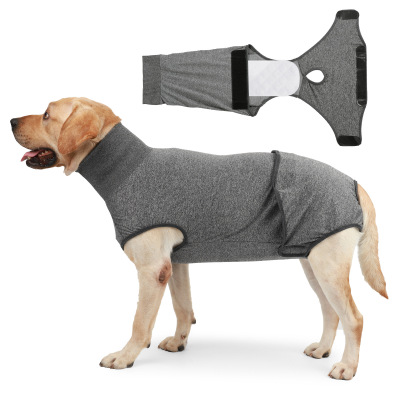 Dog Physiological Clothes with Harassment Prevention Diapers 01