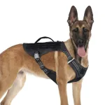 TAILUP Tactical Dog Harness