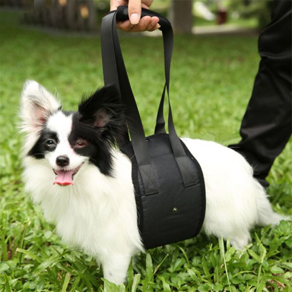 TAILUP Lift Harness for Dog Waist