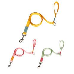 TAILUP DOG Leashes & Collars Dog Leash And Collar Dog Leash Macaron Colors For Visibility Great For Swimming Camping Hiking And Beaches