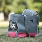 Travel Portable Breathable Cat Dog Bags