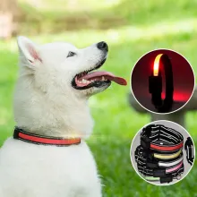 LED Solar Charging Glowing Light Up Dog Collars05