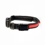 LED Solar Charging Glowing Light Up Dog Collars