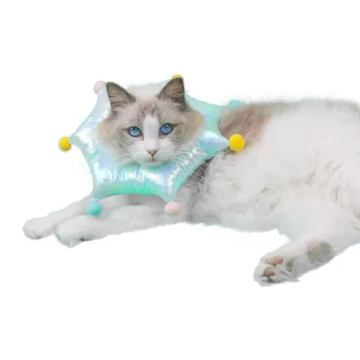 Cat Cone Collar for Anti-lick 01