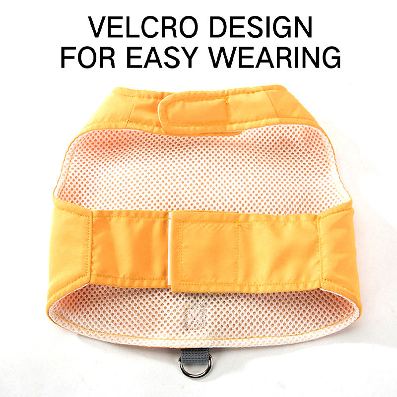 CAT Leashes & Collars Cat Traction Rope Small Lion Cute Tu Vest Chest Strap Cute Cartoon Tie Cat Slip Cat Rope Mesh Pet Leash