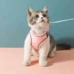 CAT Leashes & Collars Cat Traction Rope Vest Type Reflective Chest Strap Anti-breakaway Cute Outgoing Traction Rope Walking Cat Special Rope