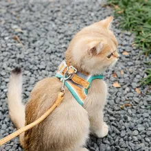 CAT Leashes & Collars Cat Traction Rope Vest Type Reflective Chest Strap Anti-breakaway Cute Outgoing Traction Rope Walking Cat Special Rope09