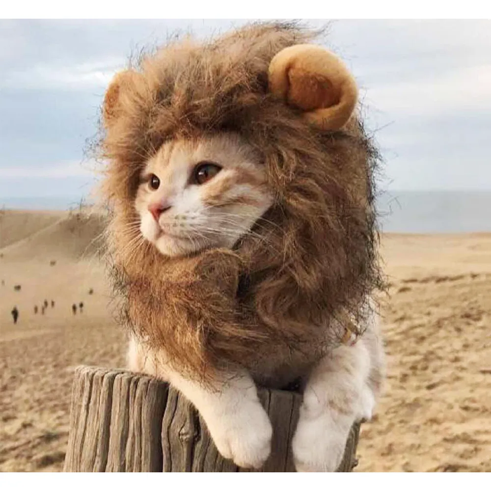 CAT Hat & Scarf Headdress Wig Hat Pet Cat Head Cover Cat Costume Lion Head Cover