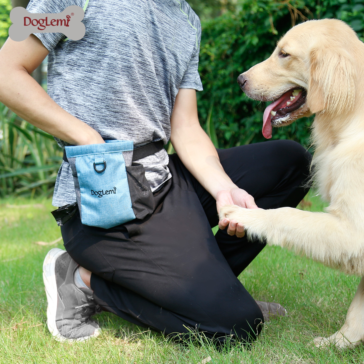 DOG Training Equipment Pet Portable Training Dog Snack Bag Canvas Bag Dog Food Waist Bag Outdoor Training Dog Walking Dog Equipment
