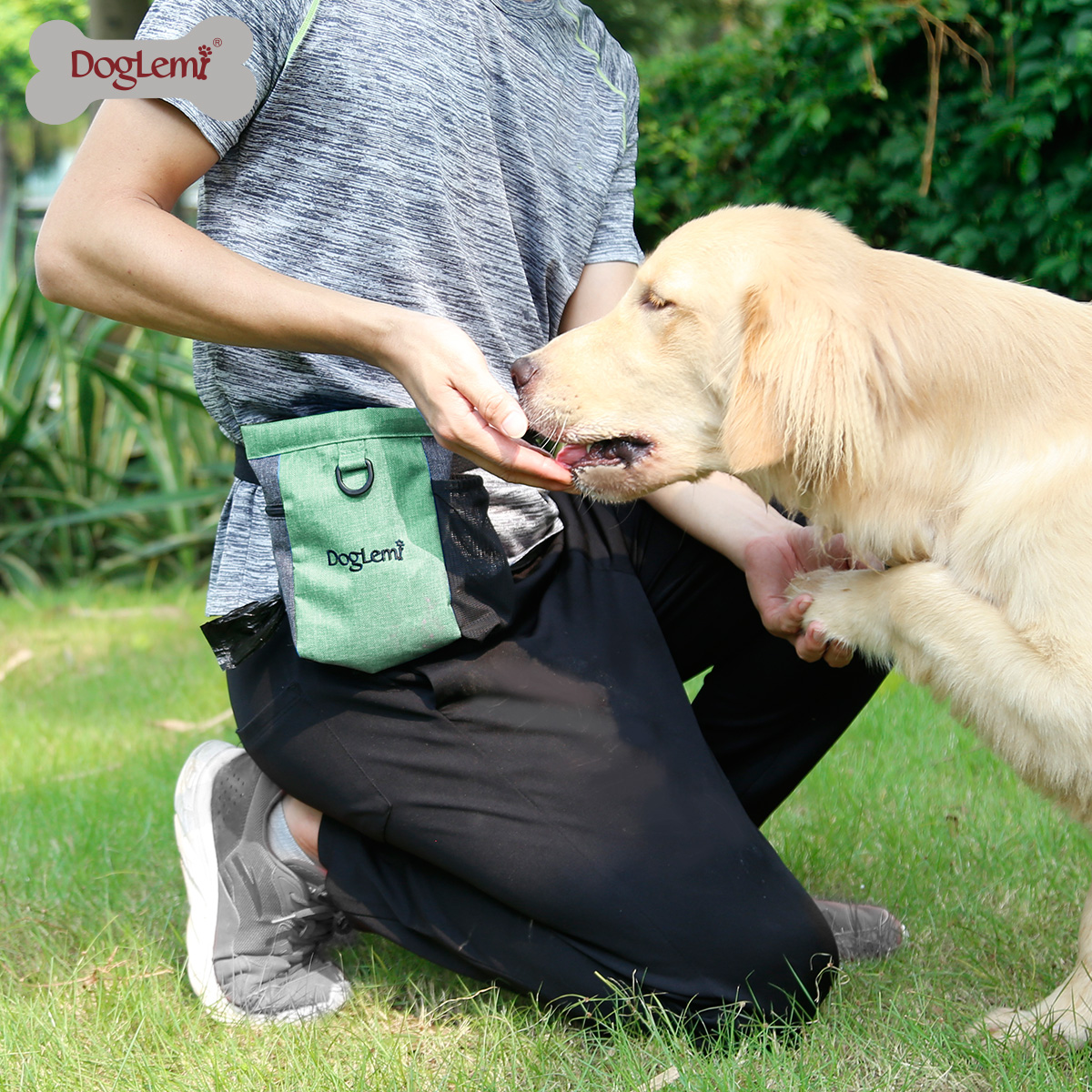 DOG Training Equipment Pet Portable Training Dog Snack Bag Canvas Bag Dog Food Waist Bag Outdoor Training Dog Walking Dog Equipment