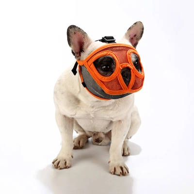 Short Mouth Dog Anti-bite Muzzles 02