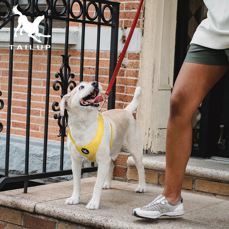 DOG Leashes & Collars Pet Harness Saddle Type Pet Harness Suede Dog Harness