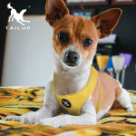 DOG Leashes & Collars Pet Harness Saddle Type Pet Harness Suede Dog Harness