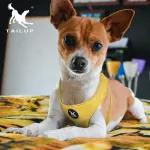DOG Leashes & Collars Pet Harness Saddle Type Pet Harness Suede Dog Harness
