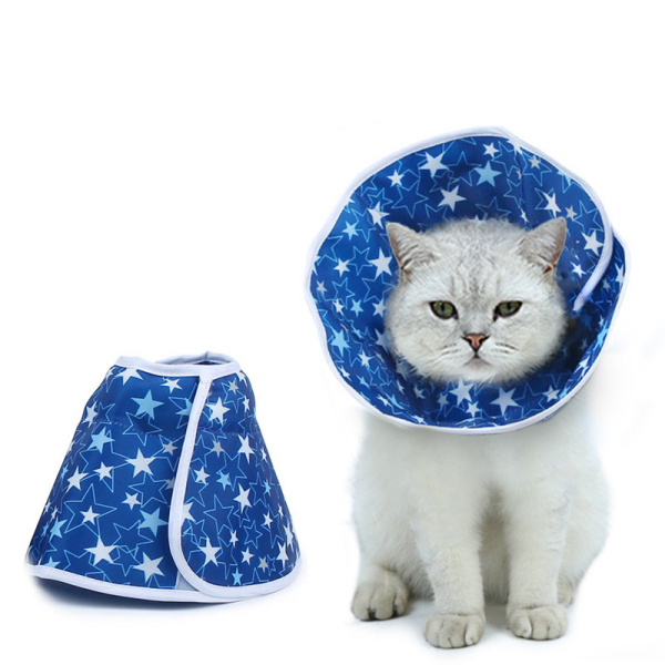 Cat Cones for Foldable