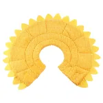 Sunflower Cats Dogs Cones
