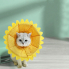 Sunflower Cats Dogs Cones