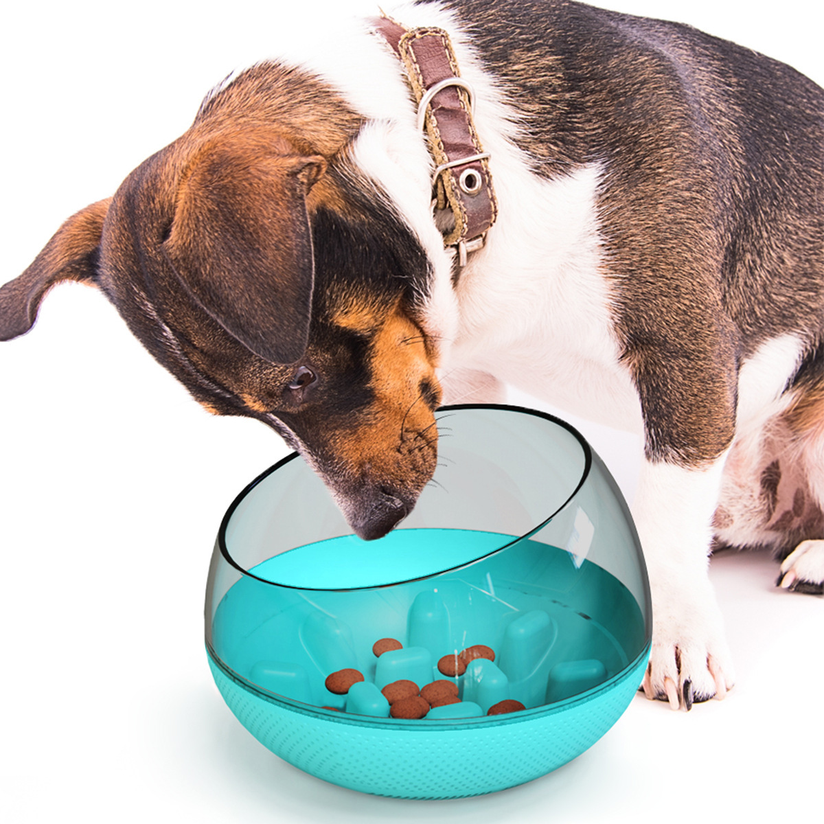 Anti-suffocation slow food bowl for dogs