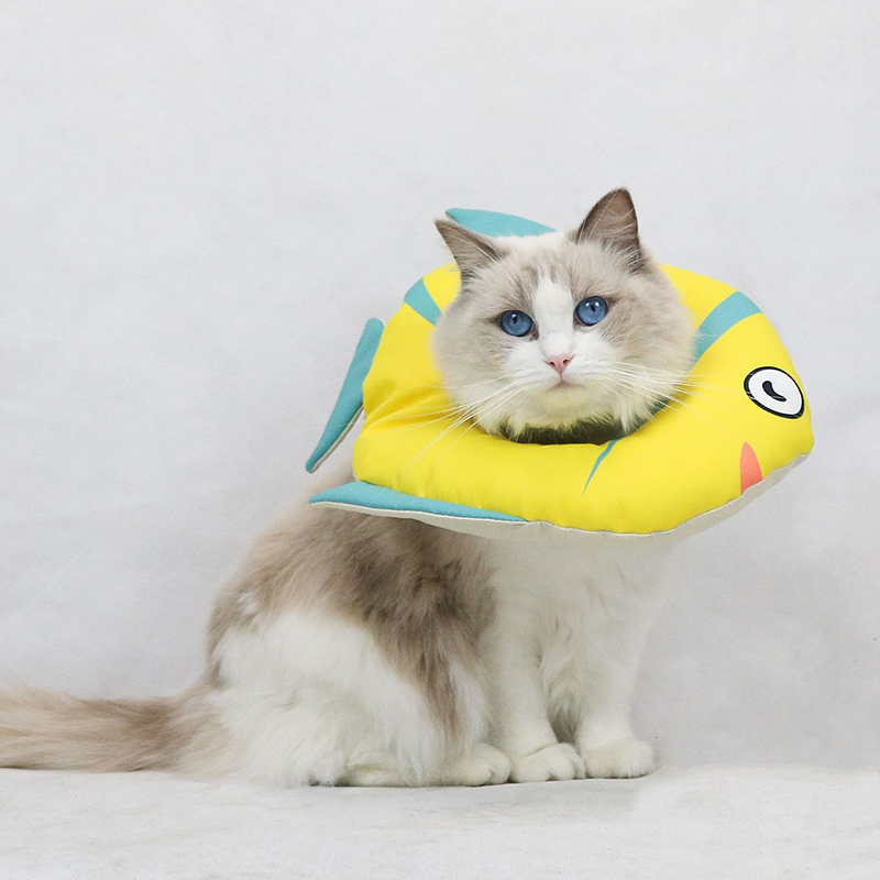 Postoperative Recovery Soft Cone For Cats