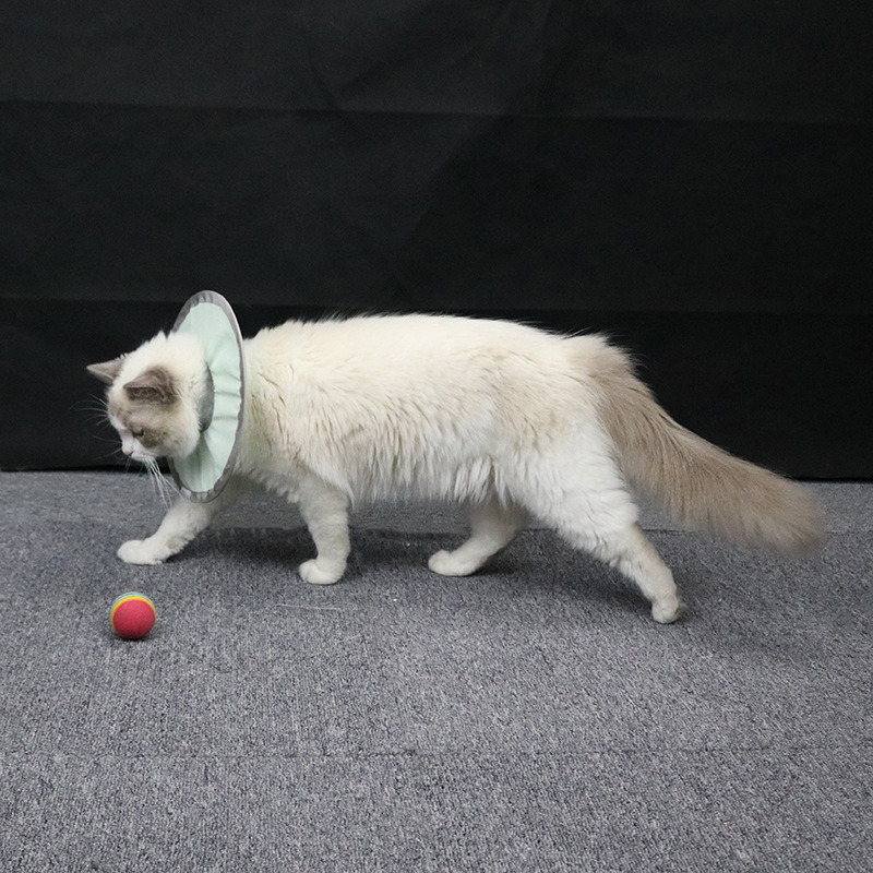 Cat Cones for Anti-licking Biting