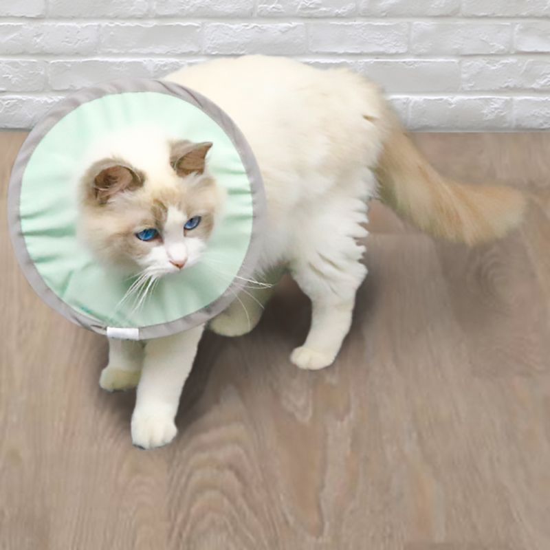 Cat Cones for Anti-licking Biting