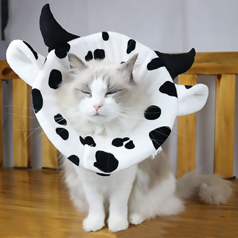 Soft Cone For Cats