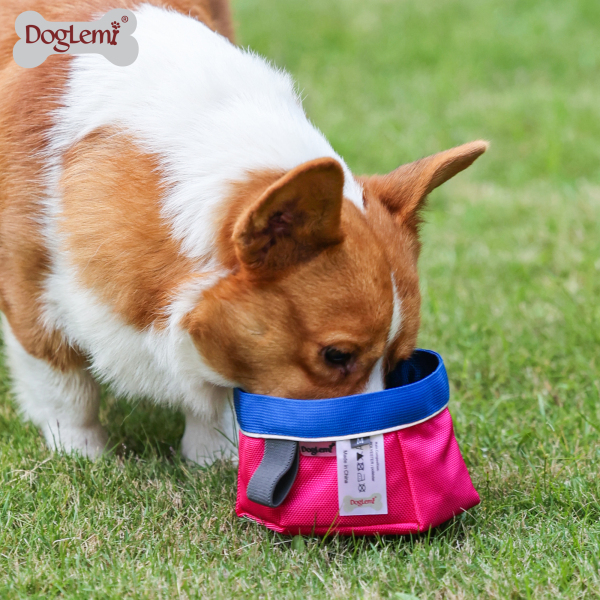 DOGLEMI DOG Bowls & Slow Feeder Bowls DOG Bowls & Slow Feeder Bowls Outdoor Folding Water Feeding Pet Bowl Portable Travel Out Dog Bowl Snack Bowl