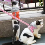 DOGLEMI CAT DOG Leashes & Collars Hooded Pet Traction Rope Chest And Back Set Out Puppy Kitten Chest Strap Breathable Cat Traction Chest And Back