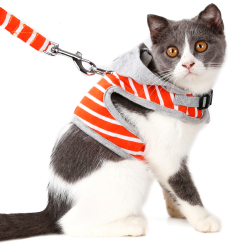 DOGLEMI CAT DOG Leashes & Collars Hooded Pet Traction Rope Chest And Back Set Out Puppy Kitten Chest Strap Breathable Cat Traction Chest And Back