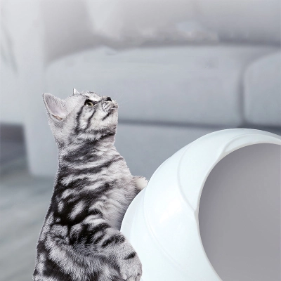 Boxes Large  Spherical Plastic Litter Box Semi-enclosed Plastic Litter Box Splash-proof And Deodorizing Cat Space Capsules Litter Box 02