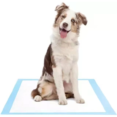 DONO Thickening Absorbent Pad For Dogs 02