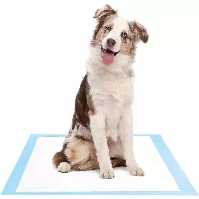 DONO Thickening Absorbent Pad For Dogs