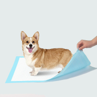 Dog Pee Pads Disposable Puppy Training Pee Pads For Dogs