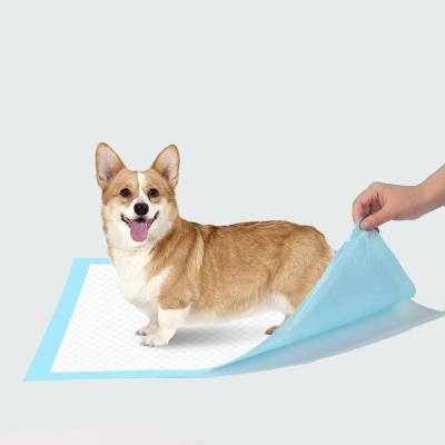 Dog Pee Pads Disposable Puppy Training Pee Pads For Dogs 01