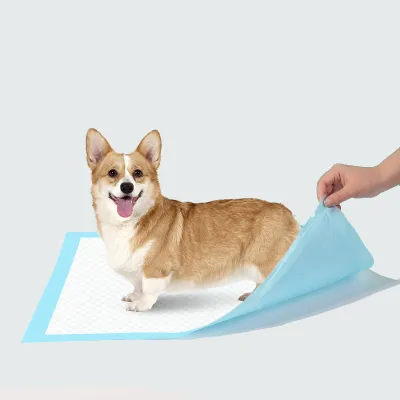 Dog Pee Pads Disposable Puppy Training Pee Pads For Dogs 01